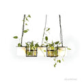 nest-barrel-gruenes-glas-pendelleuchte-schwarz-e27-modern-luxus-xlumina4