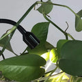 nest-barrel-gruenes-glas-pendelleuchte-schwarz-e27-modern-luxus-xlumina3