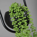 ring-pflanzen-haengeleuchte-schwarzer-blumentopf-pendellampe-modern-bar-wohnzimmer-xlumina5