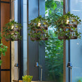 Vireo - Led Pendelleuchte Für Esszimmer & Bar Deckenlampe
