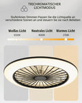 HSL LED-Deckenleuchte mit Ventilator Ø 45,5cm, Deckenventilator mit Lampe, Stufenlos Lüftungsgeschwindigkeiten, mühelose Lichtdimmung, mit Fernbedienung, 2700-6500K, 4300Lm, Klimagerät