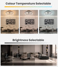 Nalezuns Ventilator Deckenleuchte,LED Deckenventilator mit Beleuchtung,3 Farbtemperatur und 6 Geschwindigkeiten Deckenventilator mit Lampe,Fernbedienung Leise Dimmbar Ventilator Deckenlampe