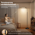 HANDSONIC LED Stehlampe Dimmbar 18W 1650LM Schwarz,Standleuchte Wohnzimmer mit 360° Schwanenhals & Unendlich Dimmer (3000K-6500K),Leselampe Fernbedienung (Retro)