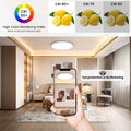 Tyreses LED Deckenleuchte Dimmbar 24W, Deckenlampe mit Fernbedienung, 1800K Dimmbar Nachtlicht, Panel 3000K-6500K Dimmbar für Schlafzimmer, Kinderzimmer, Wohnzimmer, Flure, Küche,Badezimmer, Ø30cm