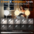 ZAPLIT 61 LED Akku Leselampe Bett –【3 Farbmodi & 10 Helligkeiten】 2000mAh Klemmlampe mit USB-C, 40cm Flexibler Schwanenhals, Buchlampe, Klemmleuchte für Schlafzimmer, Schreibtisch & Camping