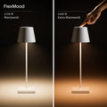 SIGOR Nuindie - Dimmbare LED Akku-Tischlampe Indoor & Outdoor, IP54 spritzwassergeschützt, Höhe 38 cm, aufladbar mit Easy Connect, 12 h Leuchtdauer, graphitgrau