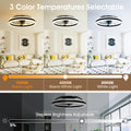 NIORSUN Deckenventilator mit Beleuchtung,50CM LED Lampe mit Ventilator,3 Farbtemperatur und 6 Geschwindigkeiten Deckenventilator mit Licht,APP/Fernbedienung Dimmbar Ventilator Deckenlampe Schwarz