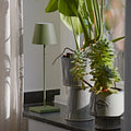 SIGOR Nuindie 2.0 - Dimmbare LED Akku-Tischlampe Indoor & Outdoor, IP54 spritzwassergeschützt, Höhe 38 cm, aufladbar mit USB-C, 12 h Leuchtdauer, tannengrün