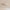 celestia-led-deckenlampen-modern-sternenhimmel-design-dimmbar-xlumina