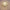 kristall-tischlampe-elegantes-design-stimmungsvolle-beleuchtung-20cm-xlumina3