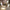 Luxus-Deckenleuchte-ChromaCraft-FarbwechselLED-Fernbedienung-Modernes-Design-xlumina