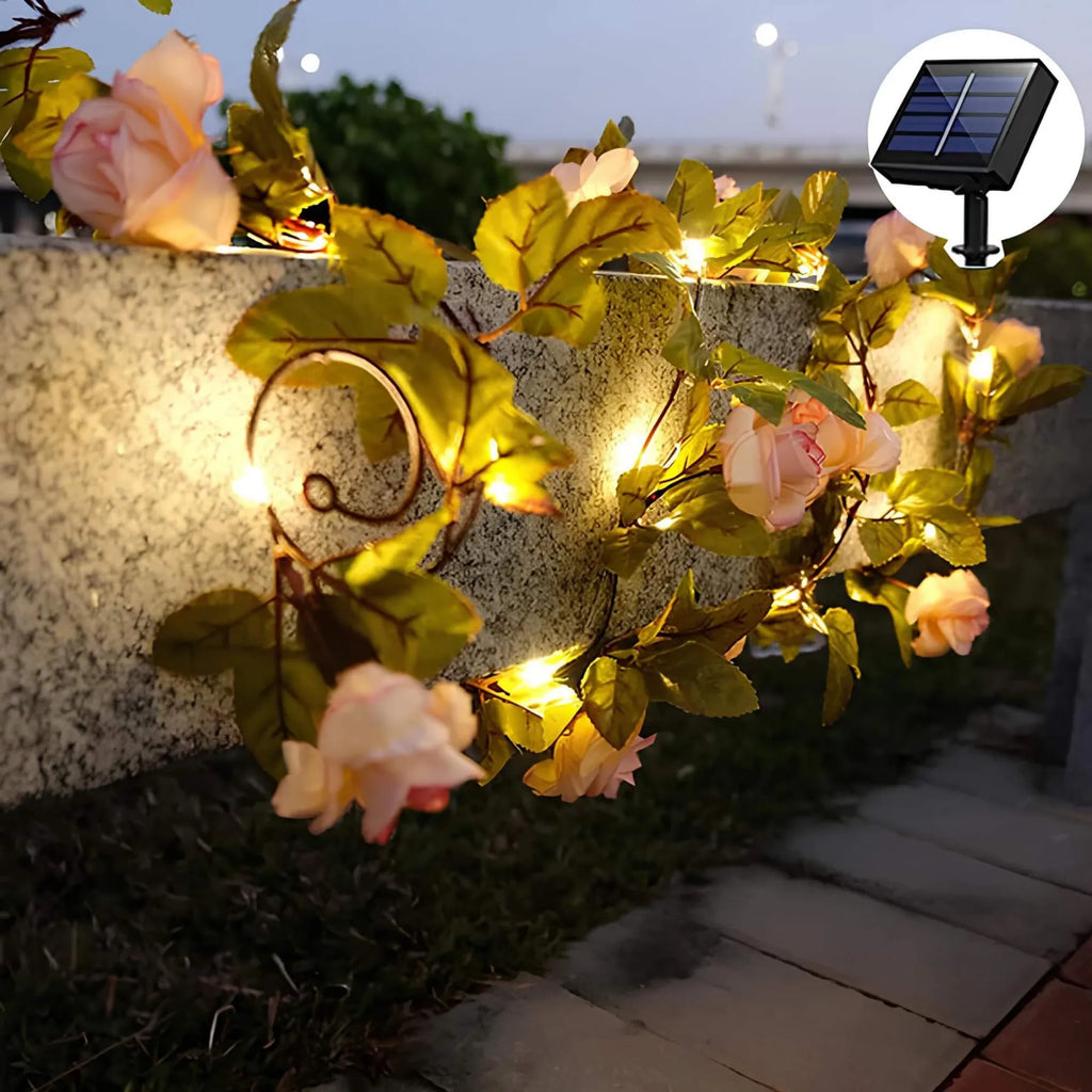 SolarAhorn LED Lichterkette | Jetzt für Ihren Garten
